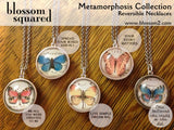 Metamorphosis Collection